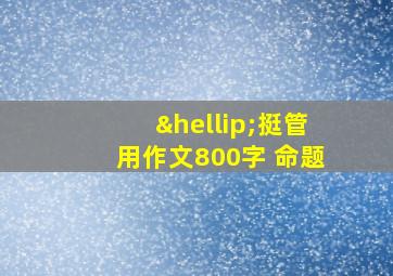 …挺管用作文800字 命题